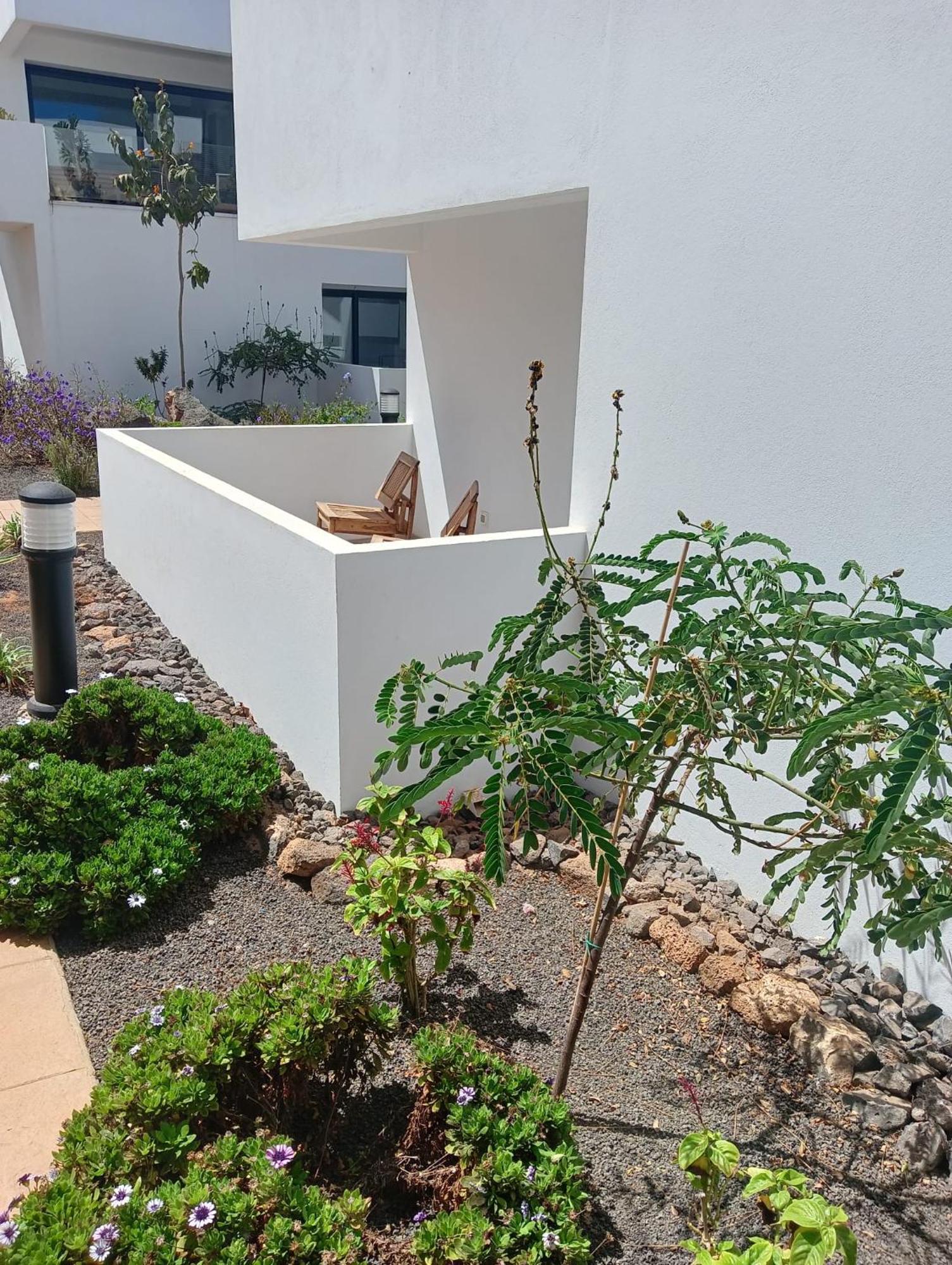 Aulaga Διαμέρισμα Villaverde  Εξωτερικό φωτογραφία